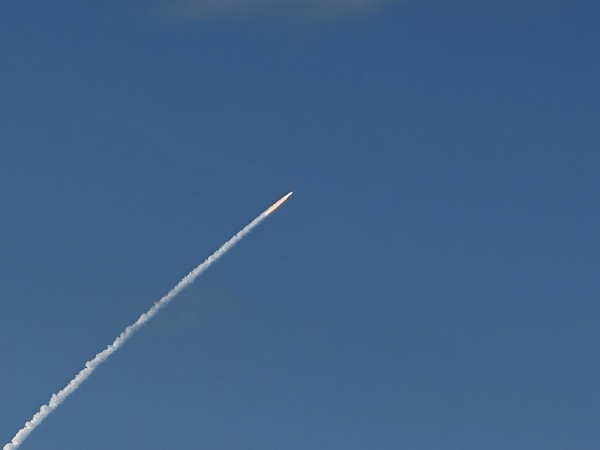 Gavin McInnes tweet media