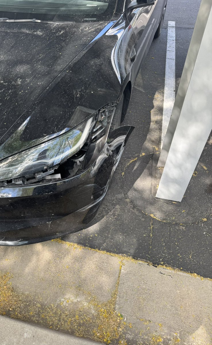 One Good Jeet ₿ tweet media