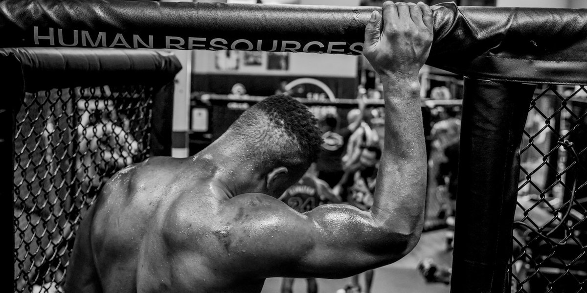 Francis Ngannou tweet media