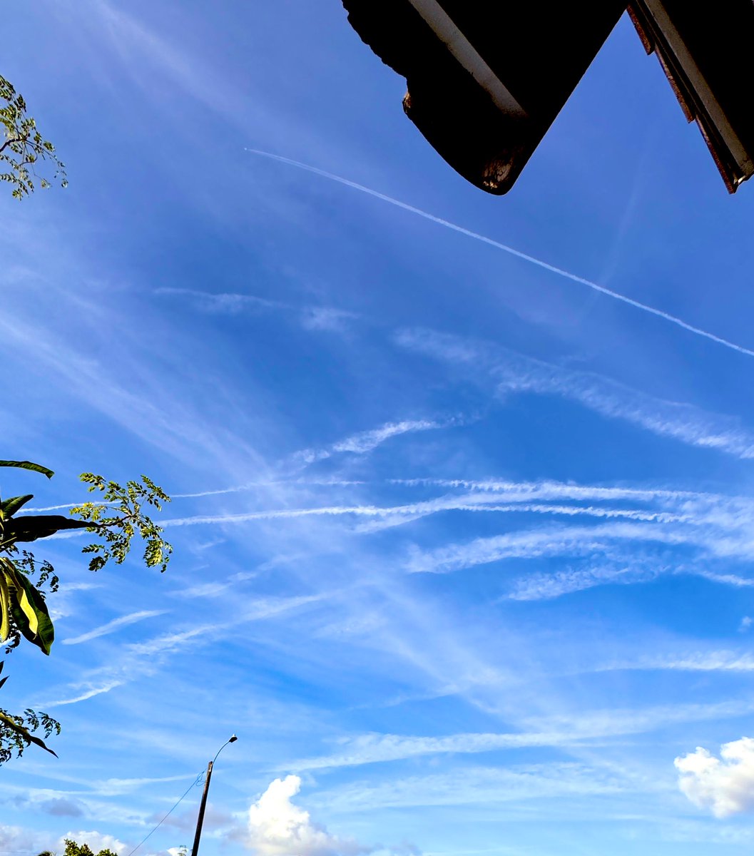 RockiRox 🌴🇺🇸 tweet media