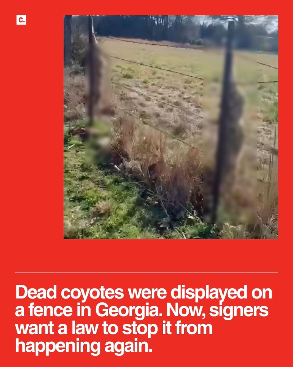 Change.org tweet media