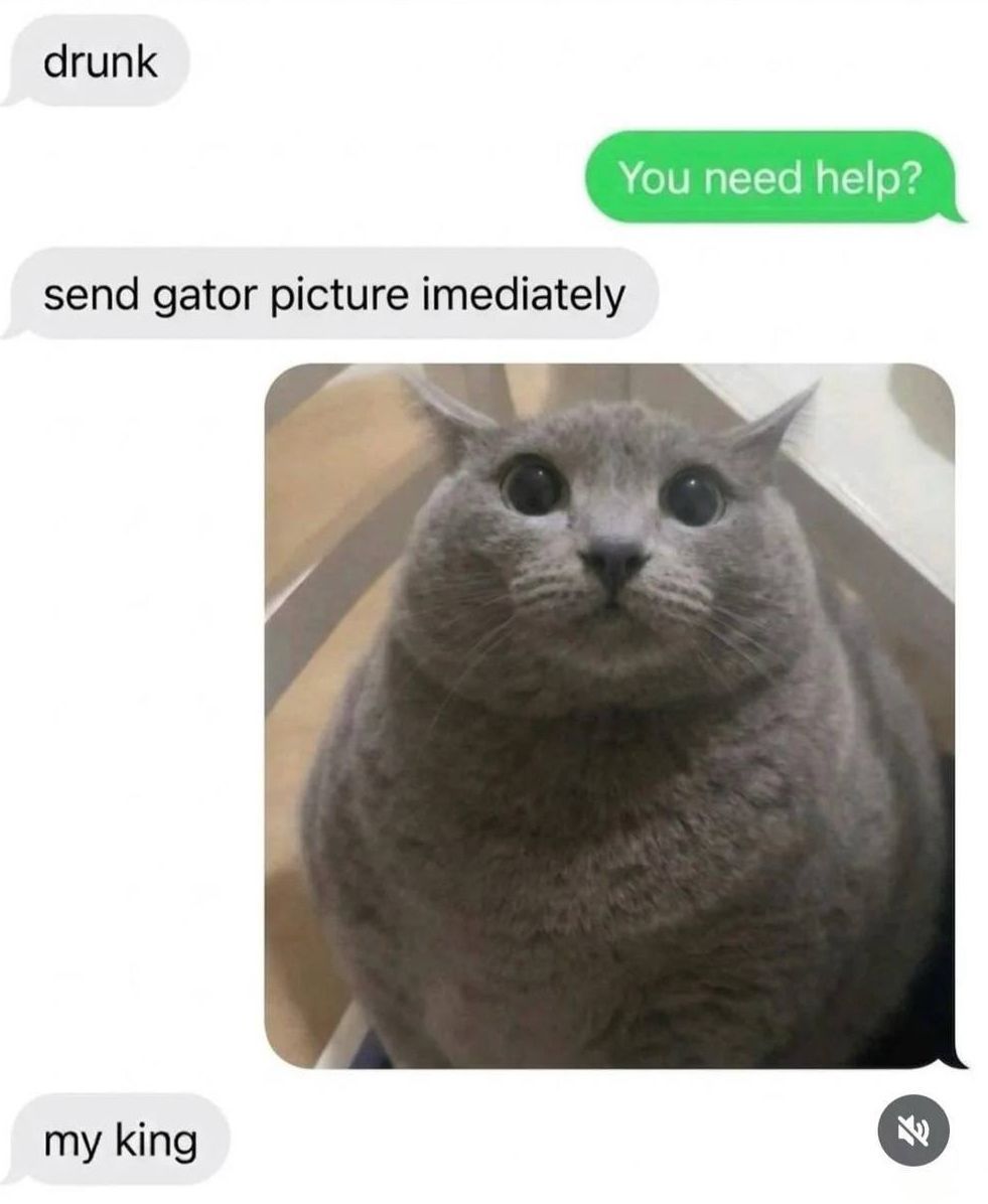 horse dentist tweet media