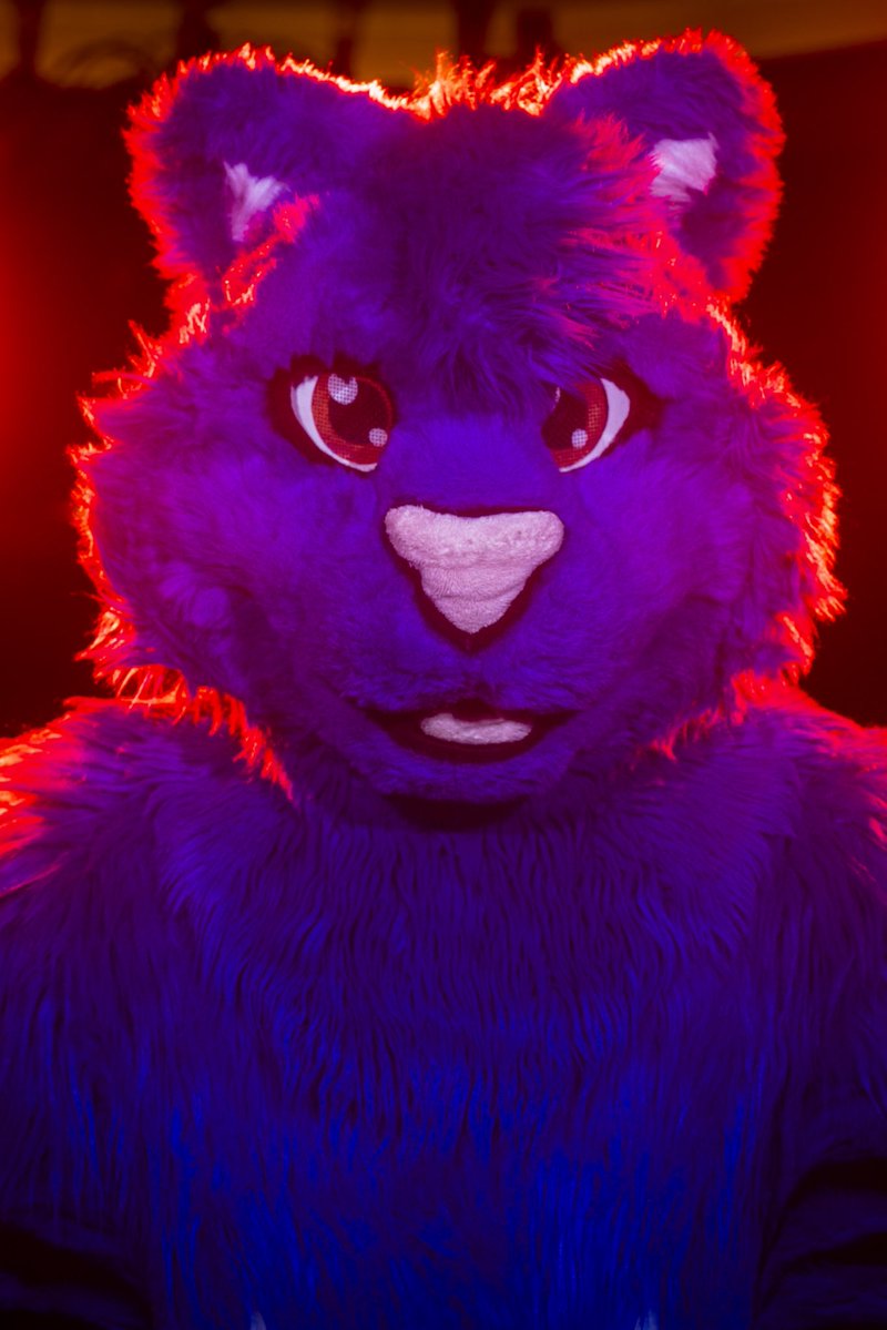 That Blue Tiger Thing tweet media