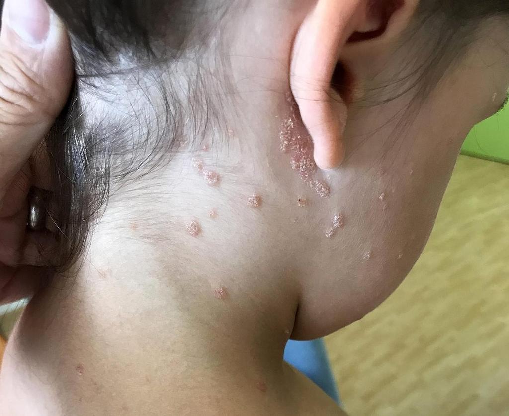 🍉*Fadi - Gaza Aid Request🍉 tweet media