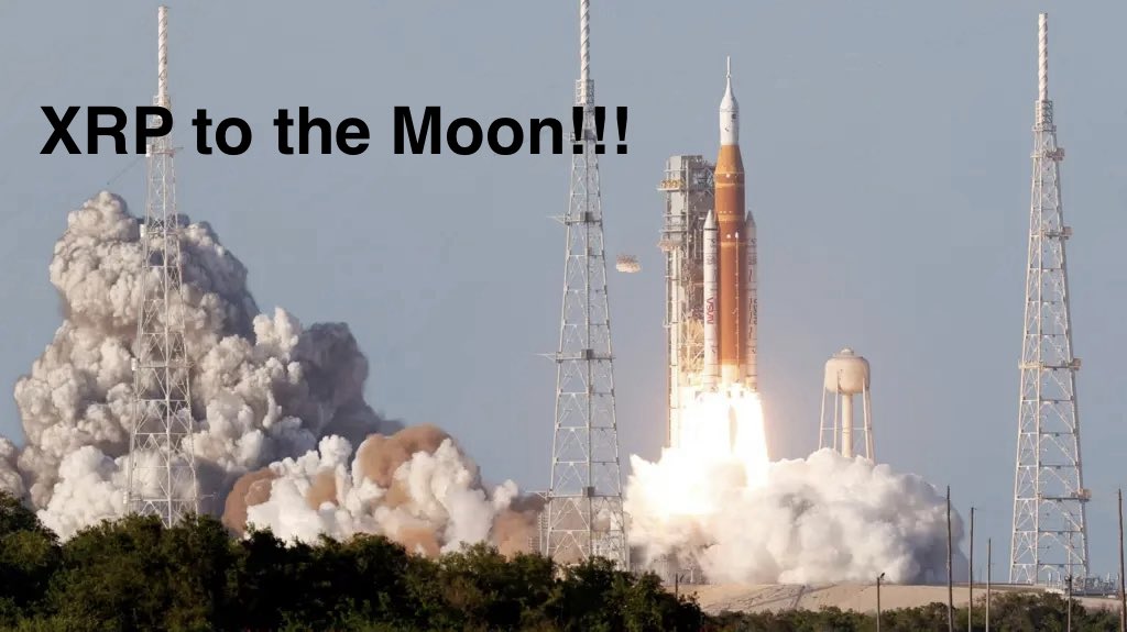 Harrison Taylor tweet media