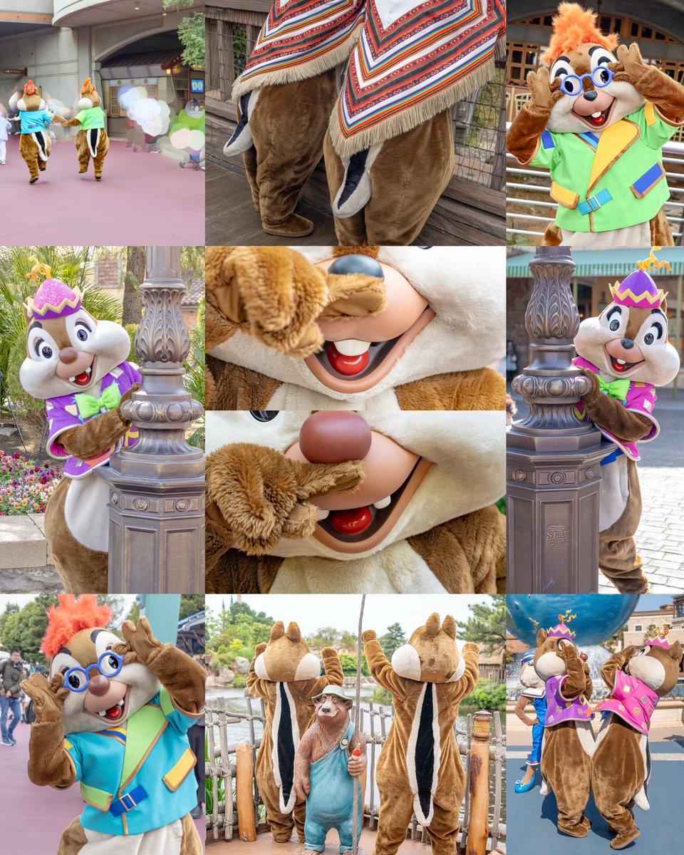 ©️🐿 tweet media