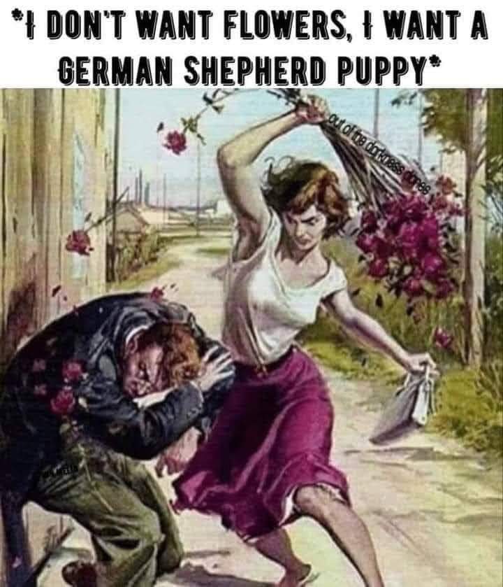 GoDigAlot tweet media