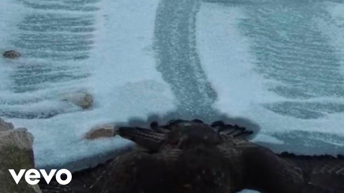 NSQK DATA tweet media