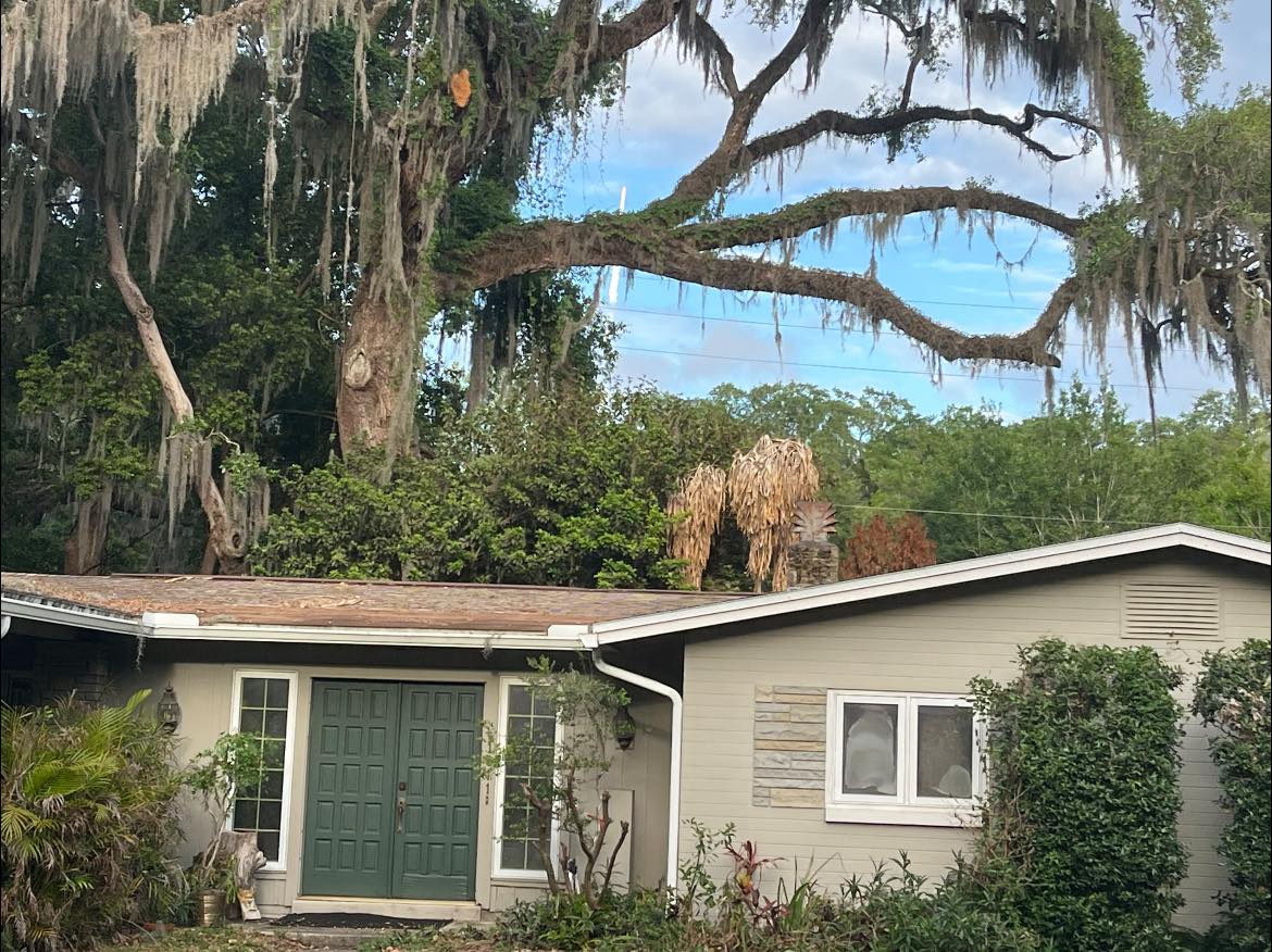 Watching #Artemis from Orlando! Godspeed! #nasa #moon