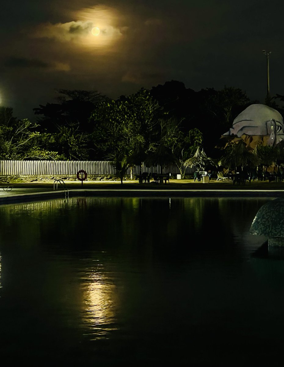 Eduardo Sifontes P. tweet media