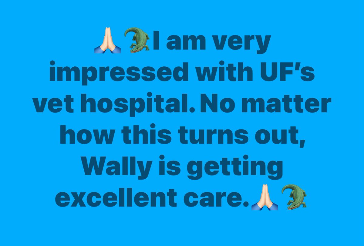 ELITE DawgGal 2 Natty Winner 1980 Alumna tweet media