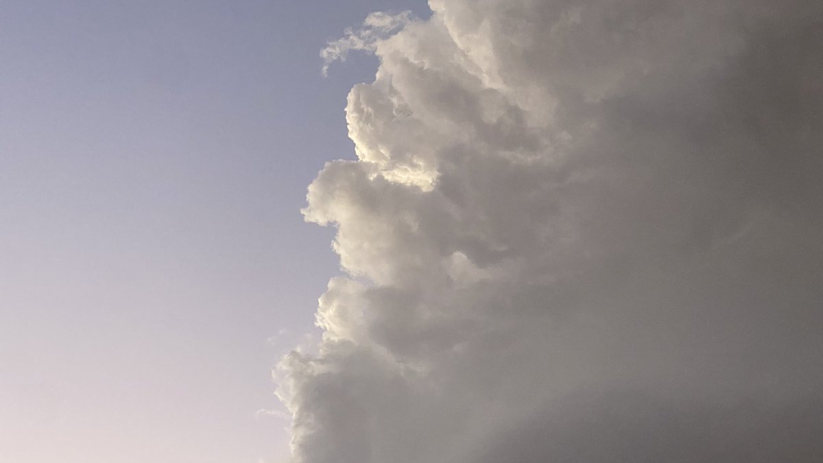 عبدالرحمن tweet media