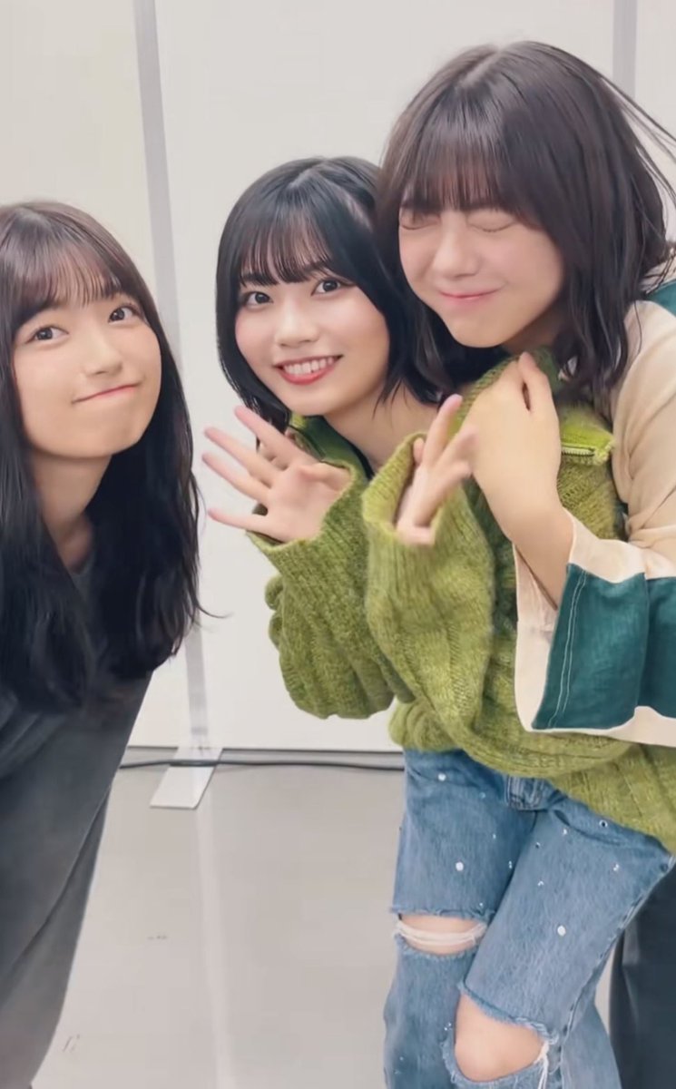 トンビフクロウ tweet media