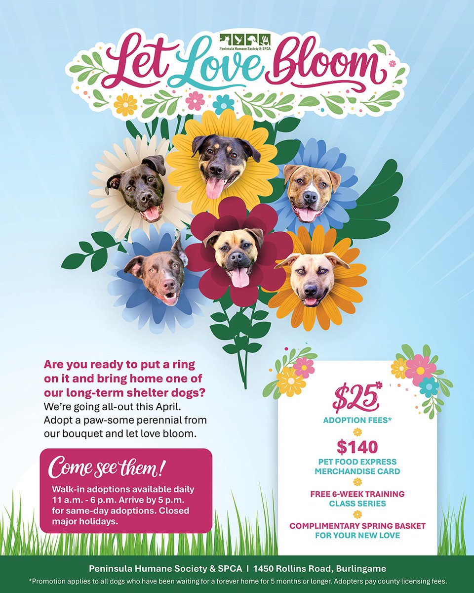 PHS/SPCA tweet media