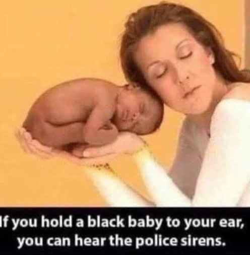 FedUpInFl tweet media