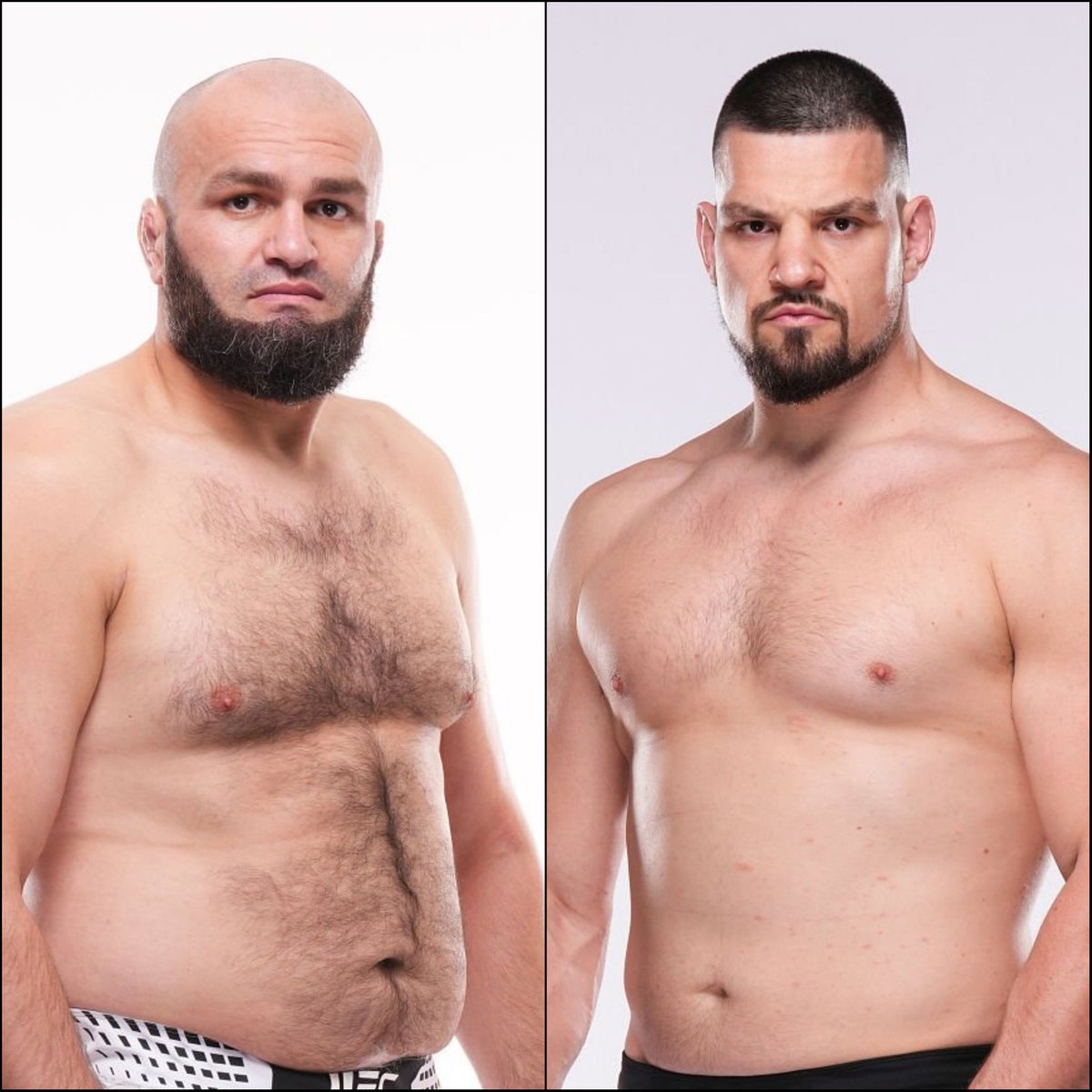 Marcel Dorff 🇳🇱🇮🇩 tweet media