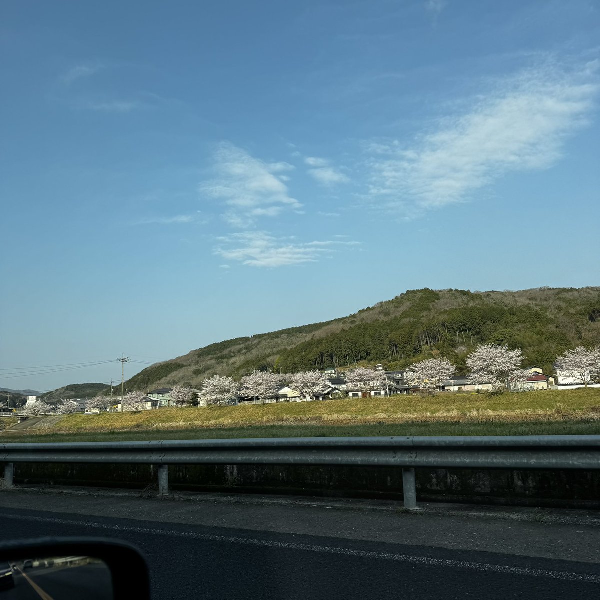 おはようございます！