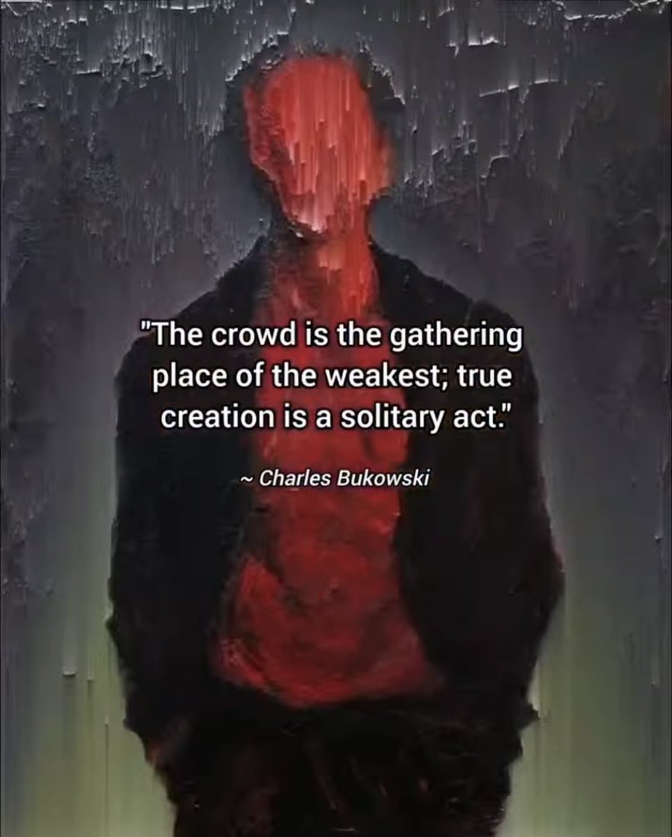 Shamz Tabrizi tweet media