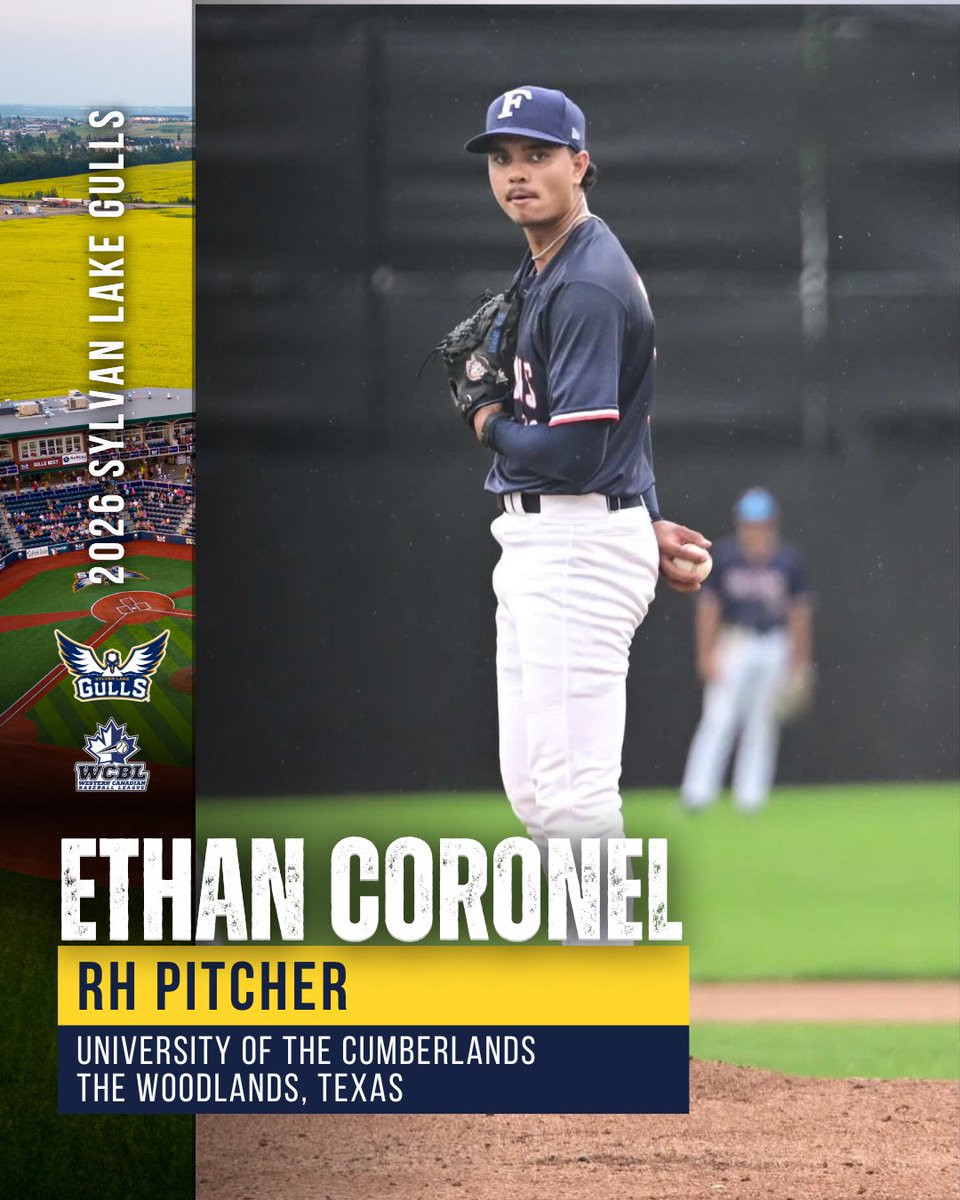 Sylvan Lake Gulls tweet media