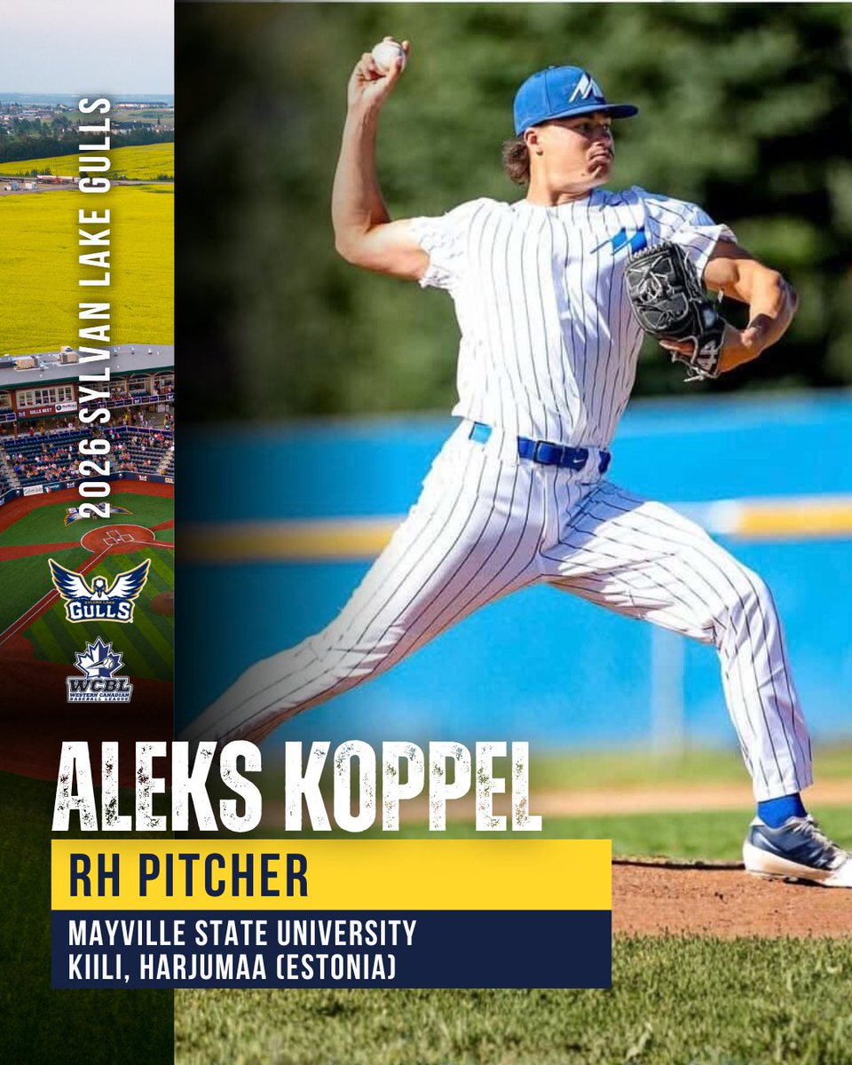 Sylvan Lake Gulls tweet media