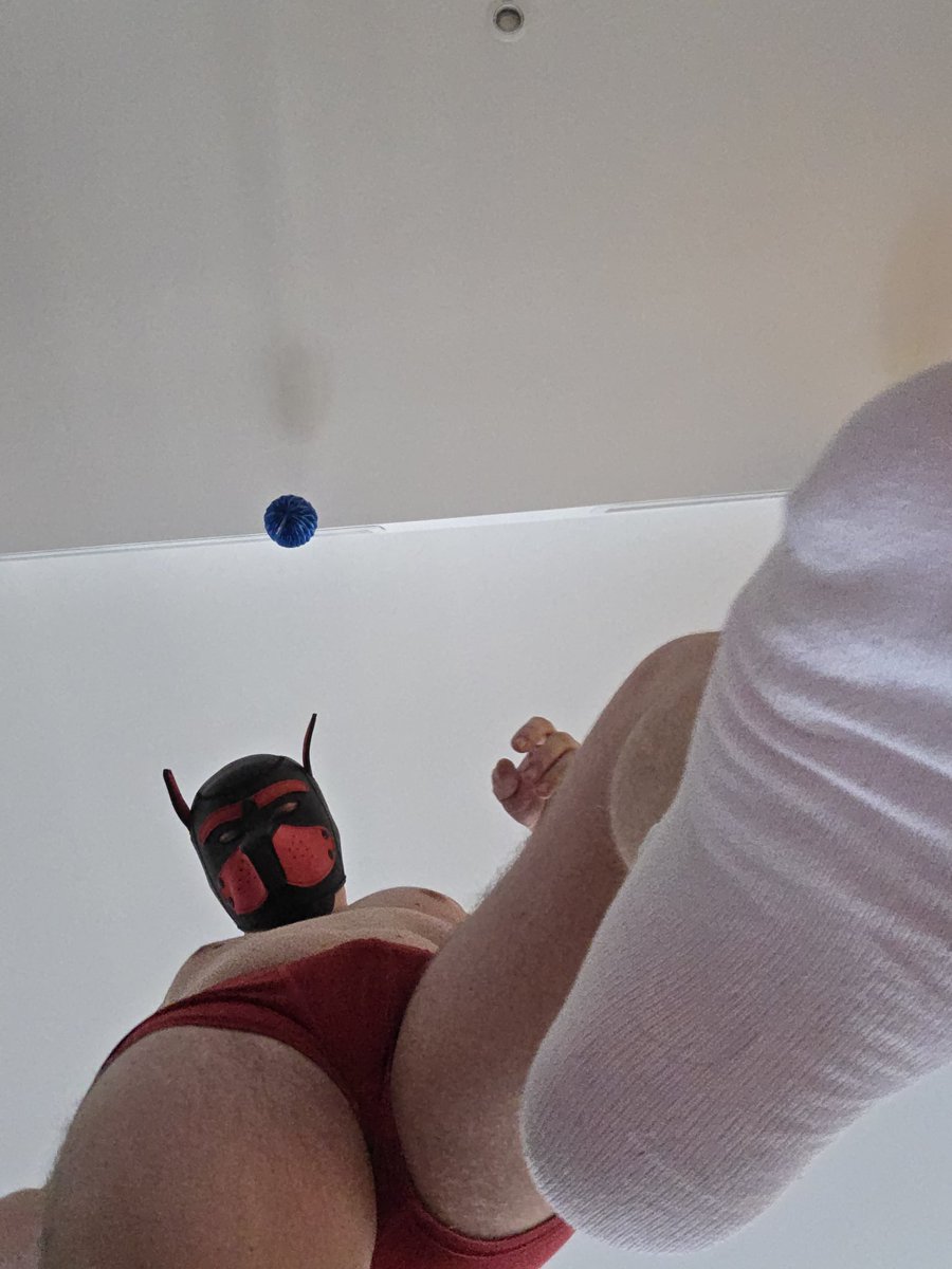 V (@redpuppyfromvlc) / Posts / X