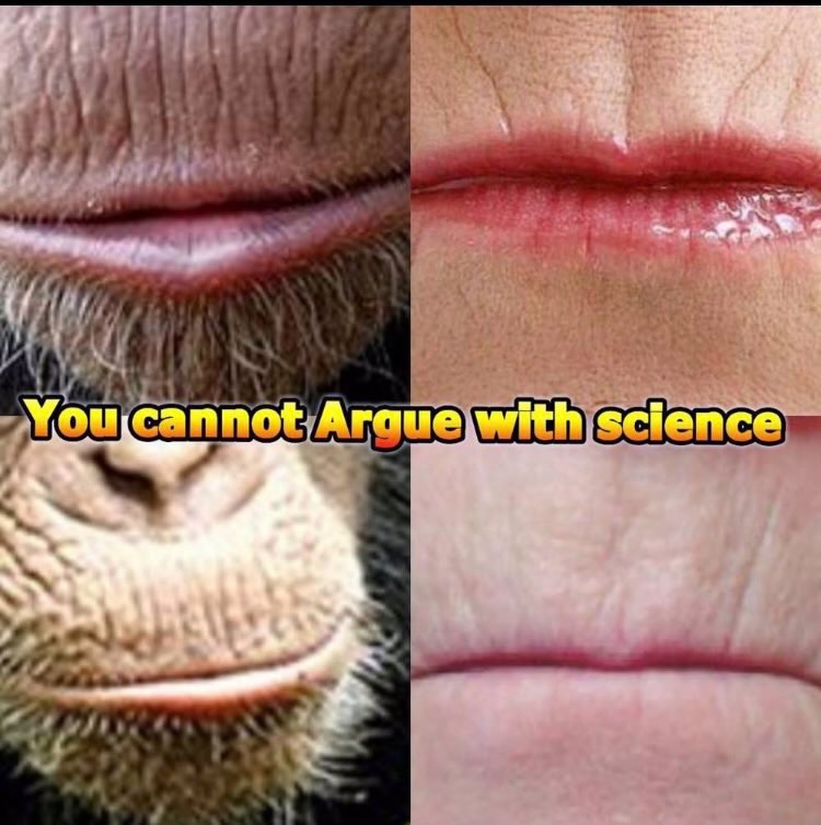 Daryl Washington tweet media