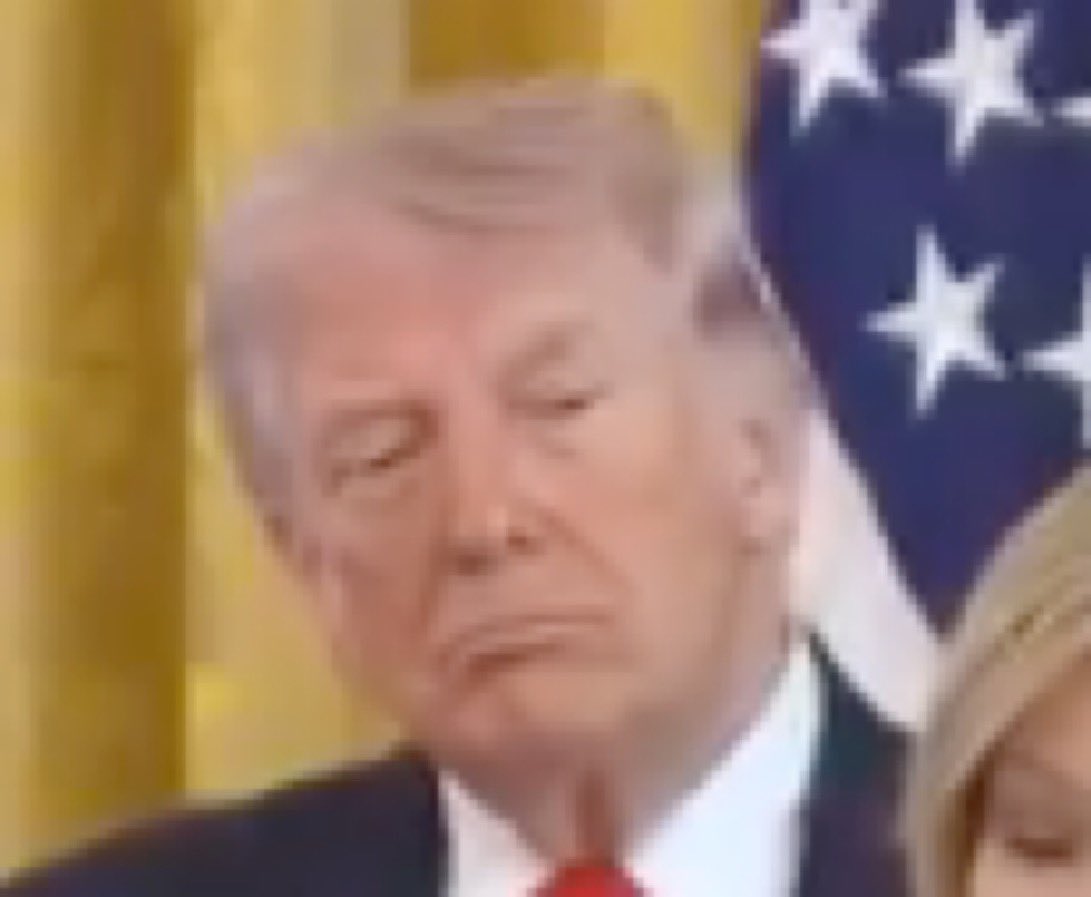 Lucas Sanders 👊🏽🔥🇺🇸 tweet media