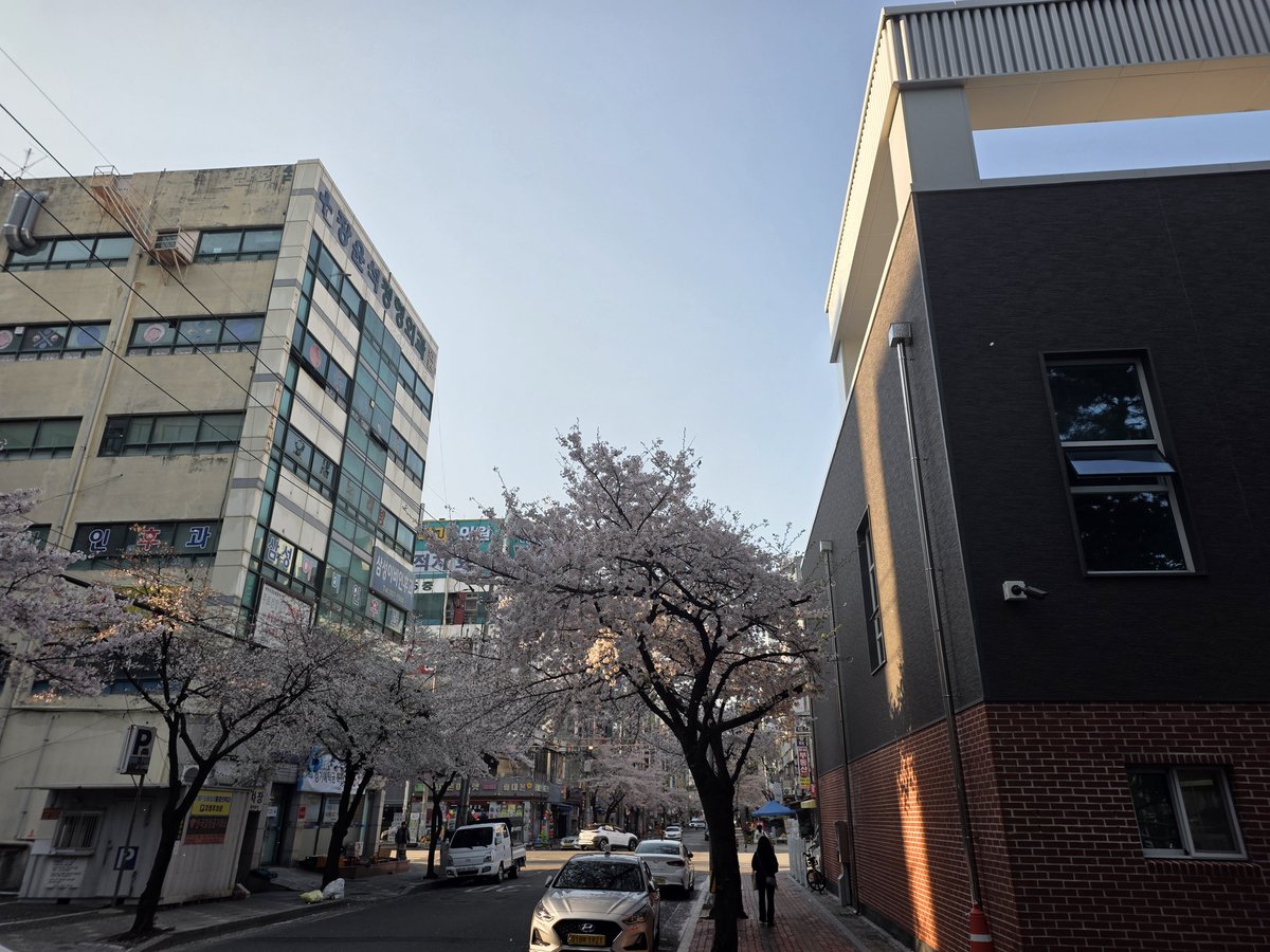 ᖇOᗪEᒍYᗩᑎG/5일페/7서코 tweet media