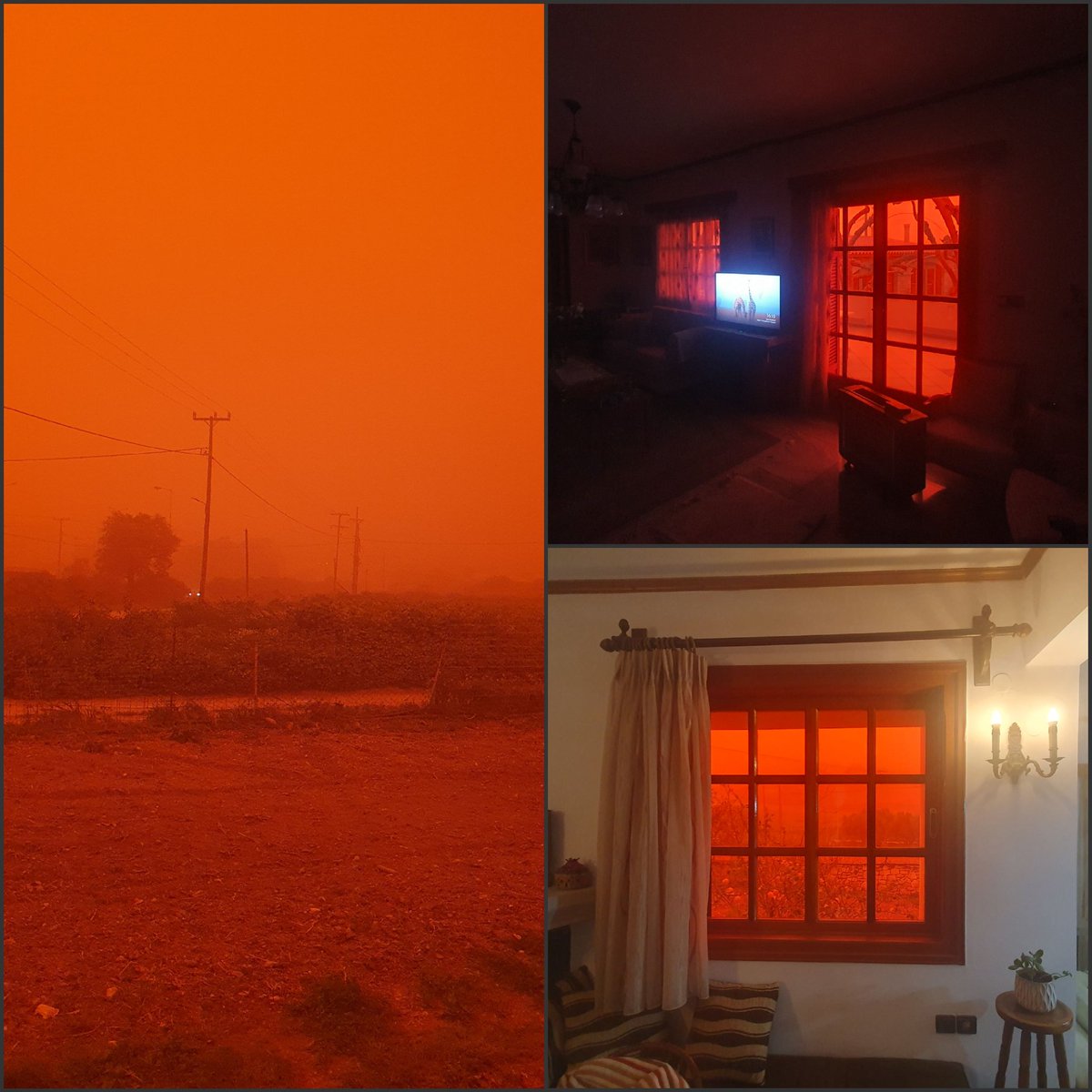 The Orion Man tweet media