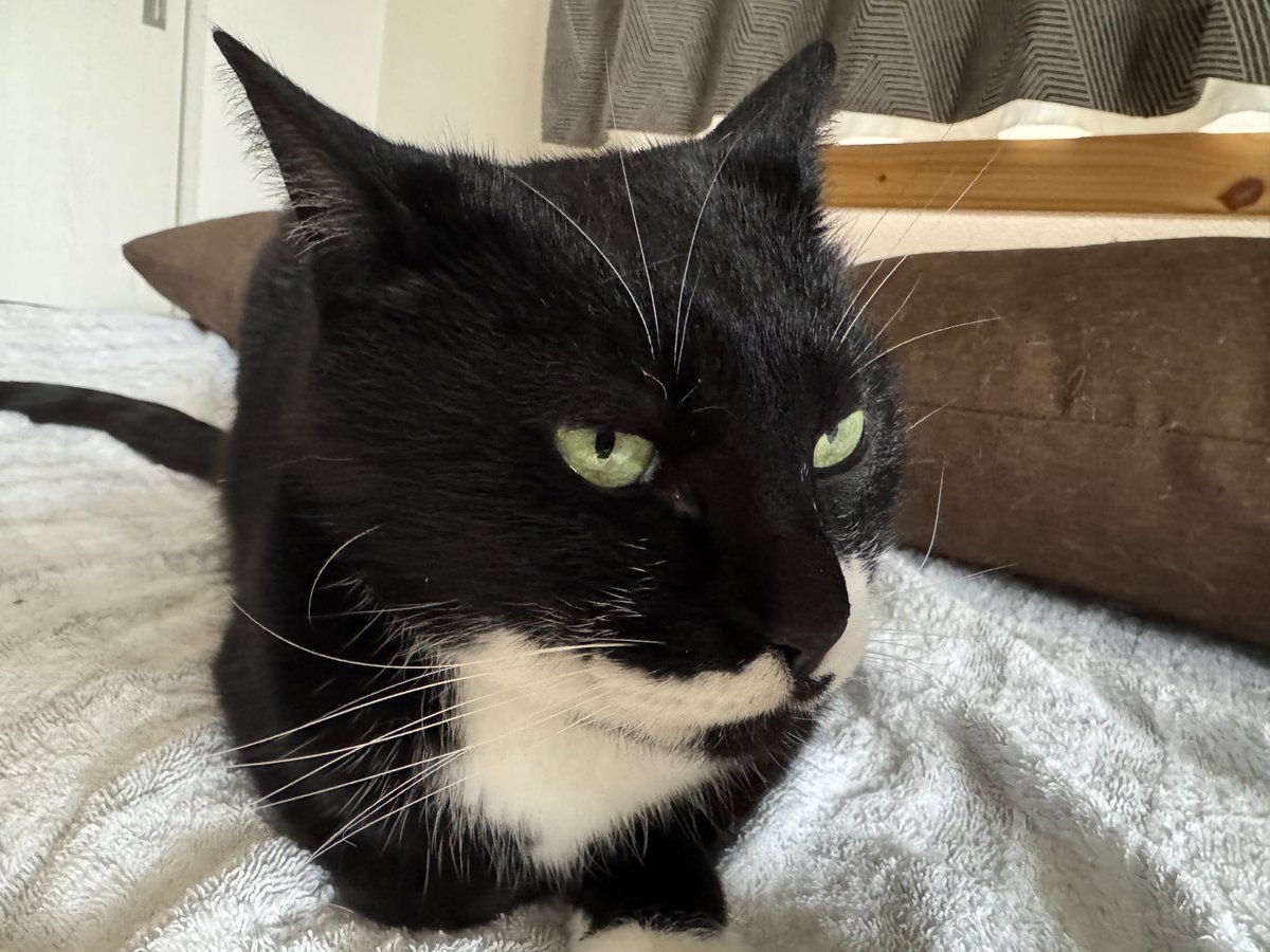 ニゲラ＠鳴海 tweet media