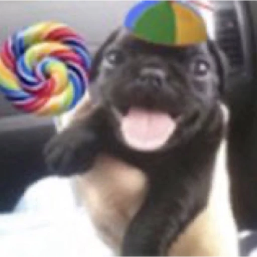 encarnação do mal tweet media