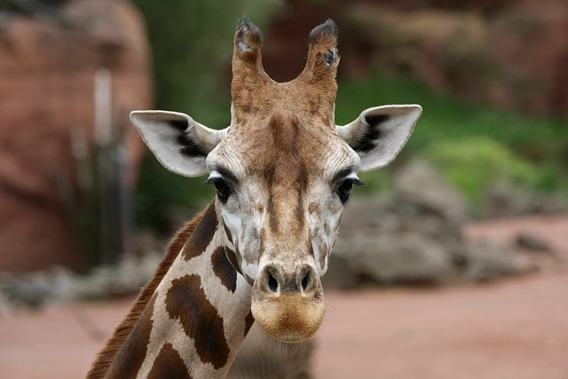 April Gordon tweet media