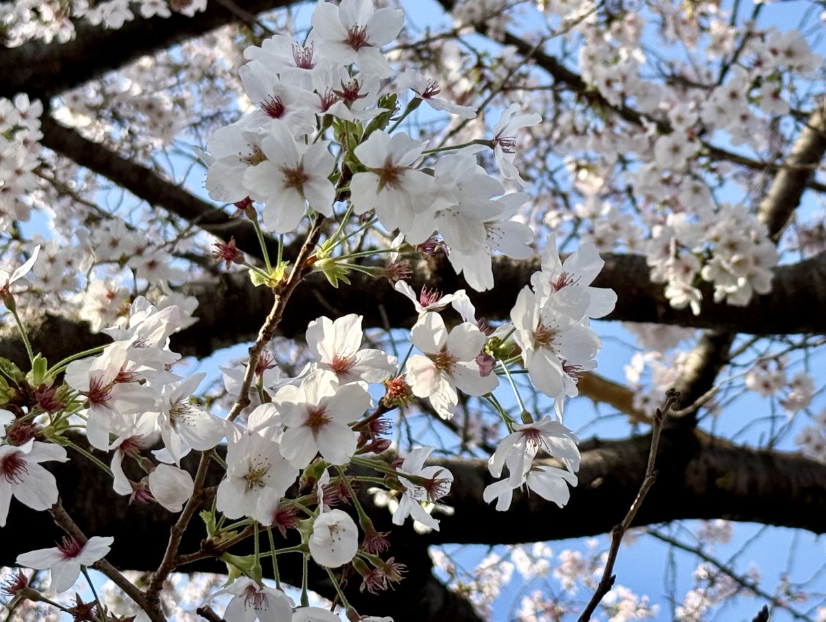 パッケージ・包装資材の株式会社タマヤ【公式】 tweet media