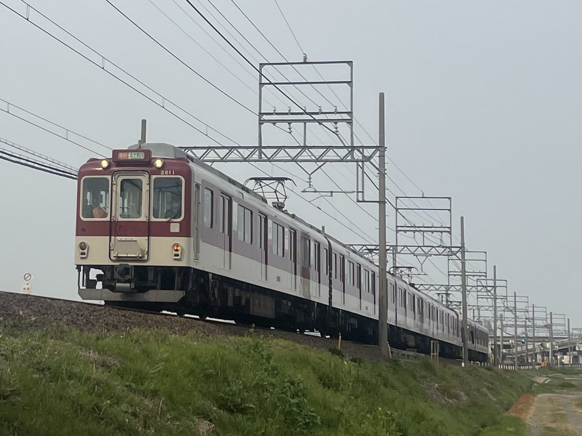 モモンガ(シロマグロ) tweet media