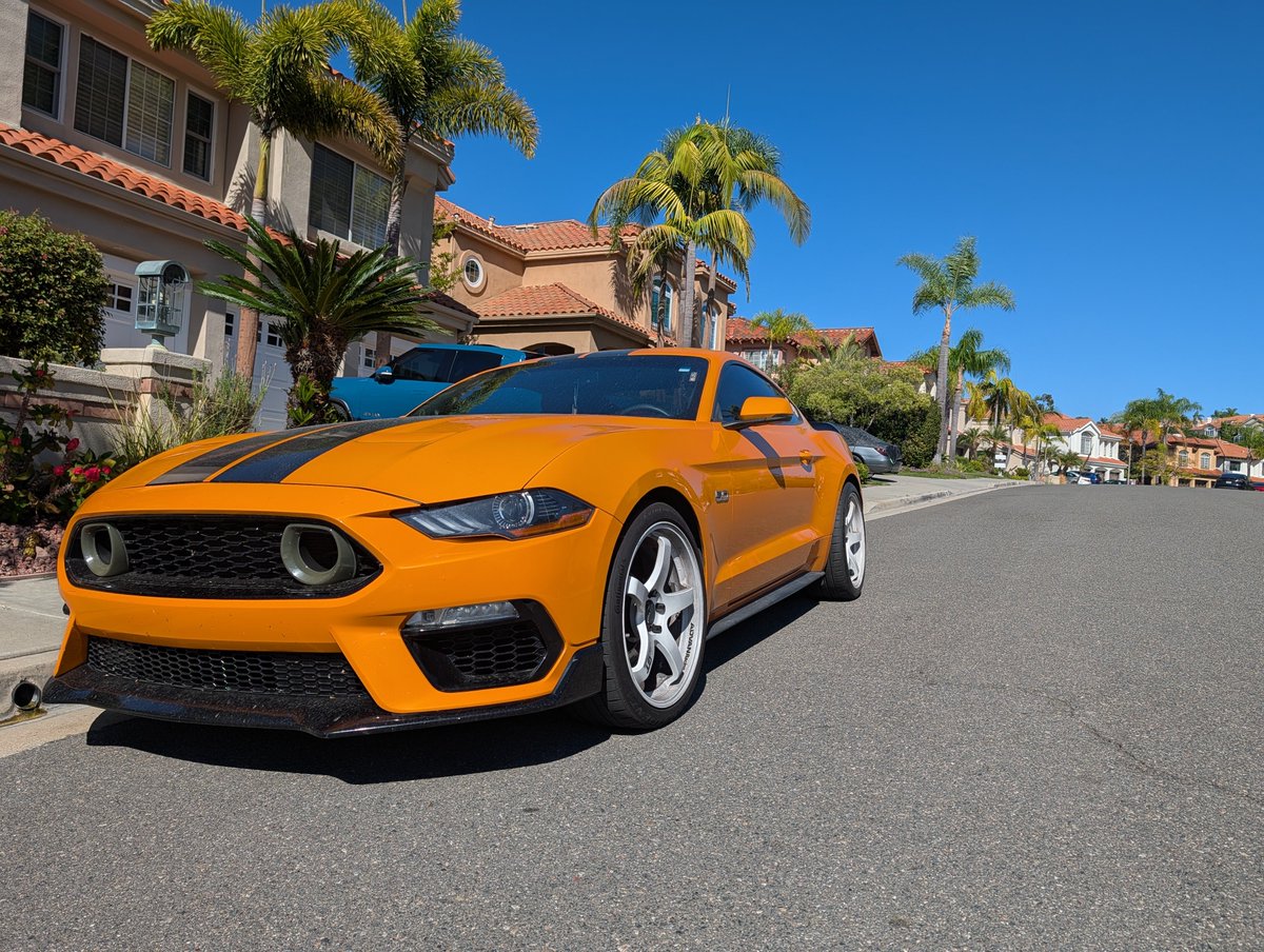 spicy dad tweet media