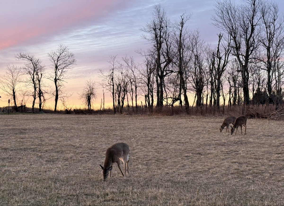 aya｜NJ🇺🇸駐在帯同・英語勉強中 tweet media