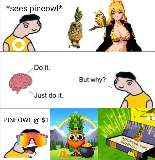 sQoozi 🫵😹 tweet media