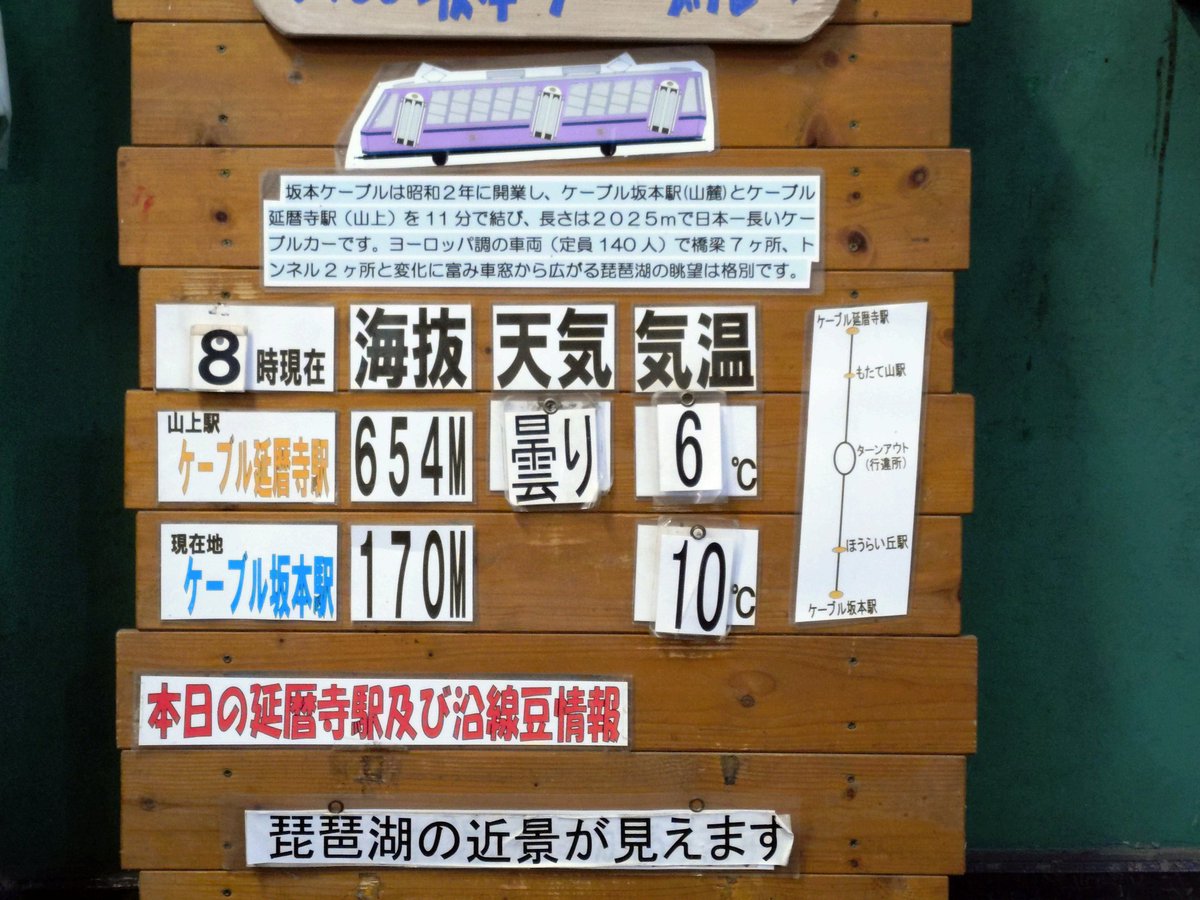 坂本ケーブル【公式】 tweet media