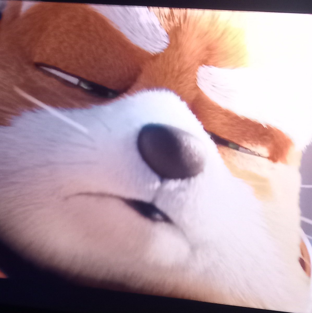 TREKZ 🐺🖤 tweet media