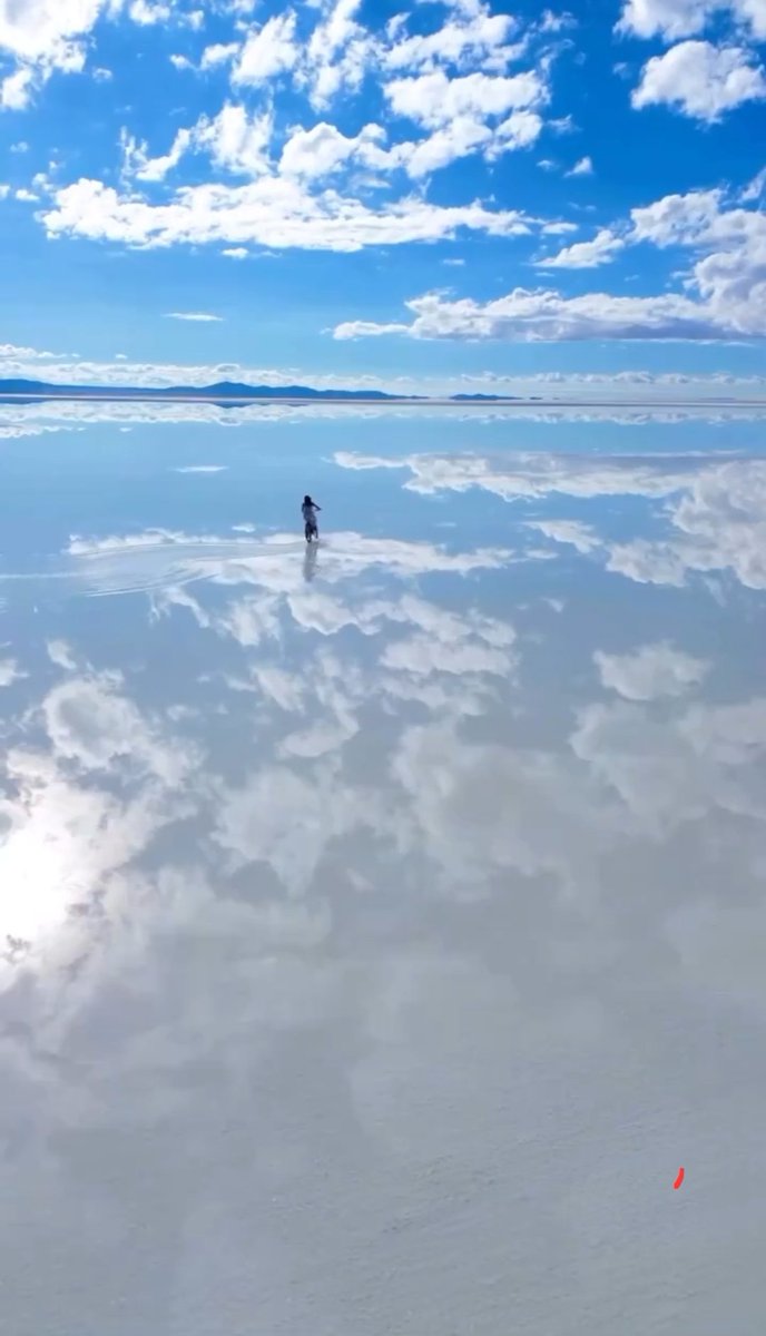 Dav Walker tweet media