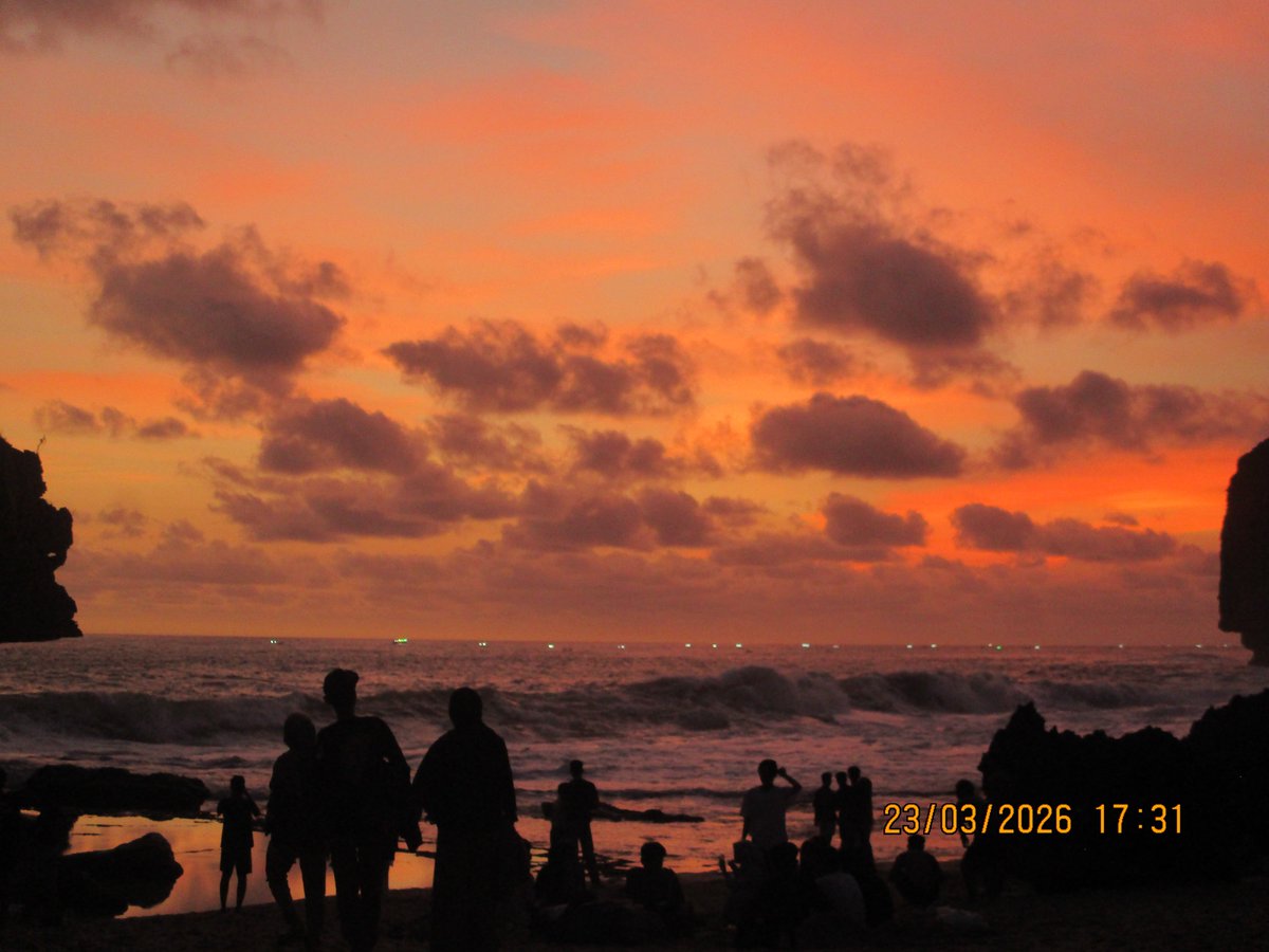 yungrolls tweet media