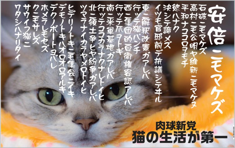 肉球新党「猫の生活が第一」 tweet media