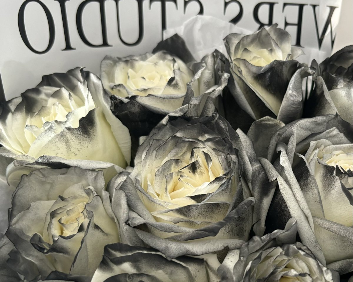 木子医师 tweet media