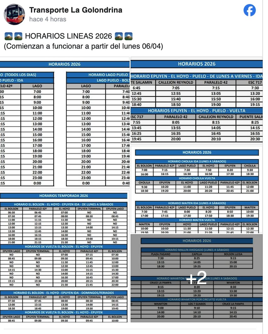 Rodrigo Sotomayor💯 tweet media