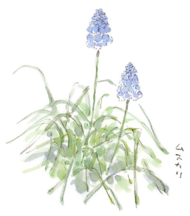 ほっこりデザイン tweet media