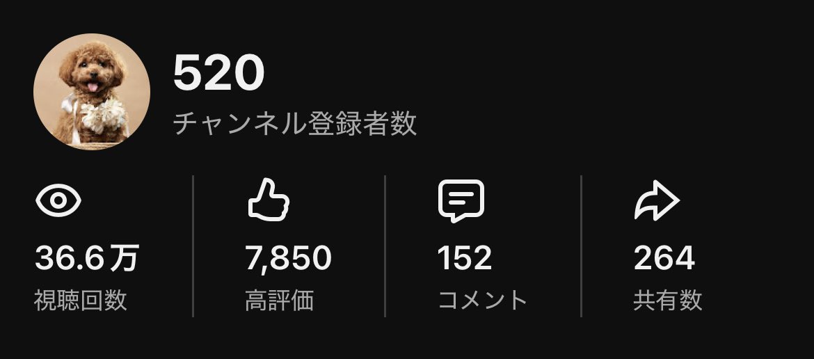 トイプードル🌸はな🌸 tweet media
