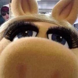 Ada 𝜗𝜚˚⋆ tweet media