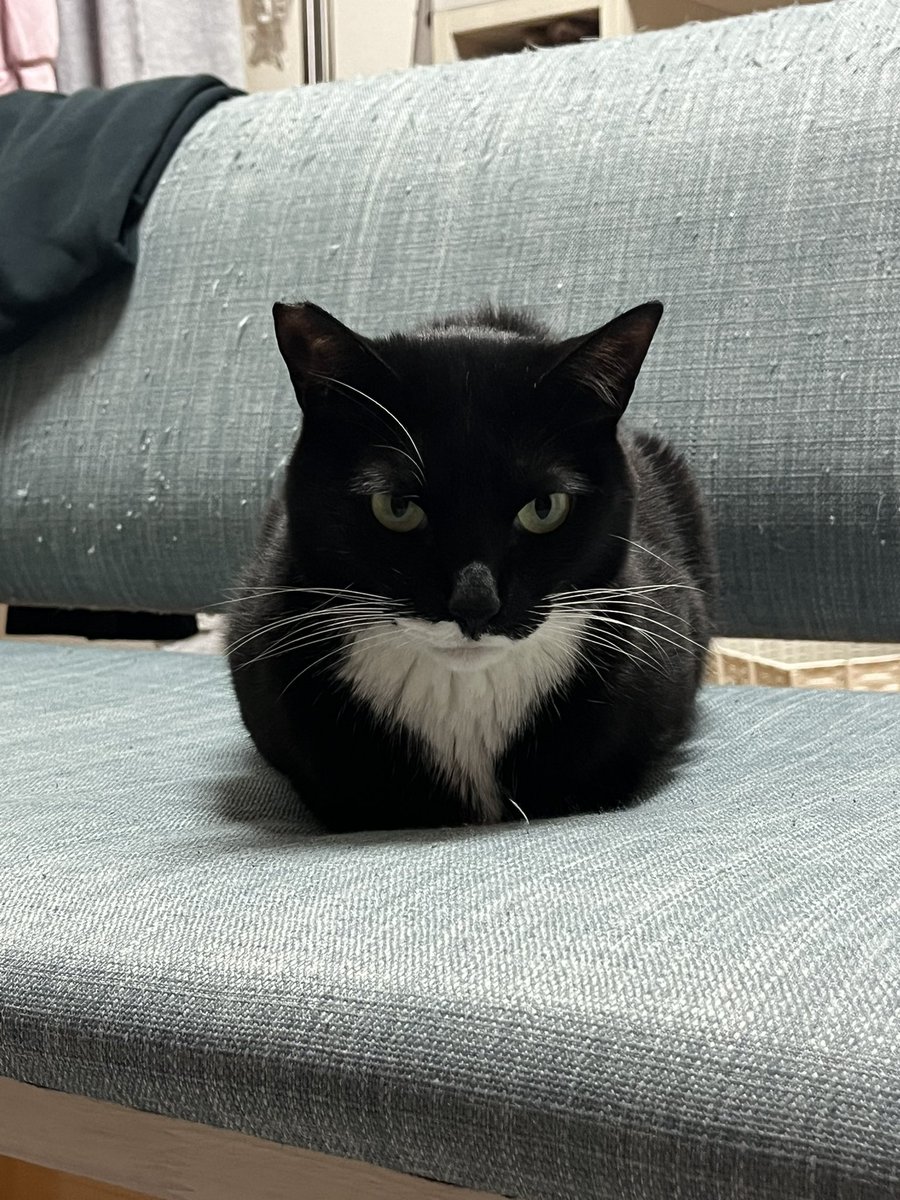 Hideki Suzuki tweet media