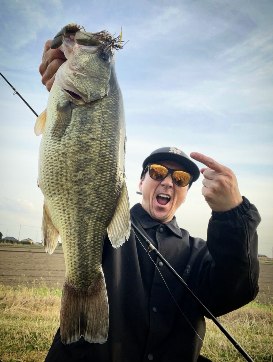 吉田 撃（official） tweet media