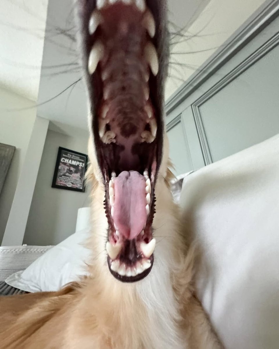 gelo azul❄️ tweet media